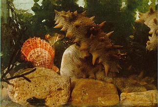 产品栏目发布内容测试8